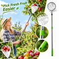 Wire Extension Rod Fruit Picker Tool with Telescopic Extension Pole, Metal Harvester ...