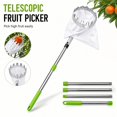 Wire Extension Rod Fruit Picker Tool with Telescopic Extension Pole, Metal Harvester ...