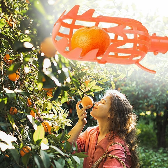Fruit Picking Basket for Orchard Harvesting, Closely Knit Fruit Collector Tool with Pole Attachment, Home Garden Harvesting Solution for Pear Apple Orange, Seasonal Holiday Gift for, AESTIVO