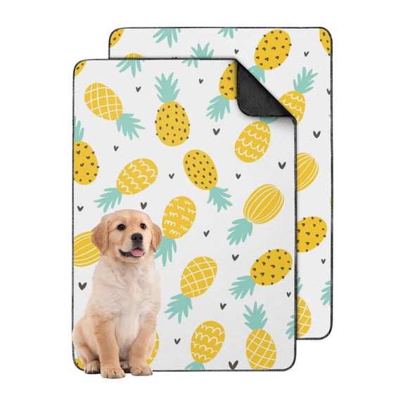 Dog Crate Pad With Non Slip Bottom Reference: Fruit Print Reusable Puppy Pads Washable Non Skid Dog Potty