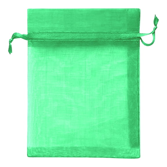 Fruit Protection Bags,Mosquito Bug Insect Bird Fine Mesh Bag,Jewelry Bags with Drawstring,Little Mesh Gift Pouches,Mini Bags for Jewelry,Earrings,Plant Fruit Flower and Vegetables(Green1 13x18cm)
