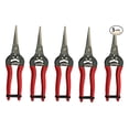 thumbnail image 1 of Fruit Pruners 5 Pack - Needle Nose Pruning Shears - Long Blade Harvesting Clippers - All Metal Construction with Ergonomic Handles & Strap, 1 of 2