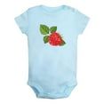 thumbnail image 1 of Fruit Raspberry Image Print Rompers For Babies, Newborn Baby Unisex Bodysuits, Infant Jumpsuits, Toddler 0-24 Months Kids One-Piece Oufits (Blue, 0-6 Months), 1 of 4