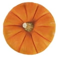 thumbnail image 1 of Fruit Round Blanket, Harvest Season Autumn Foliage Thanksgiving Halloween Pumpkin Winter Squash Art, Cozy Plush for Indoor & Outdoor Use Novelty Gift Idea, 71" Round, Orange Eggshell, by Ambesonne, 1 of 6