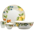 Fruit Salad 5pc Set Multi Color Casual Porcelain 5 Piece Dishwasher