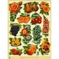 thumbnail image 1 of Fruit Scraps Poster Print By Mary Evans Picture Librarypeter & Dawn Cope Collection (18 X 24), 1 of 3