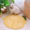 thumbnail image 1 of Fruit Series Cat Litter Mat, 1 of 3