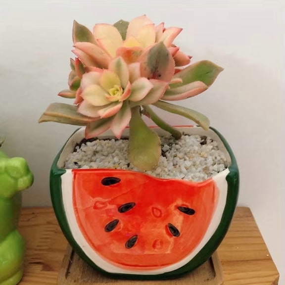 Fruit-Shaped Succulent Ceramic Flower Pot  Creative Cartoon Watermelon Orange Apple Planter for Desktop Potted Plants Office Decor Balcony Gardening Gift