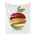 thumbnail image 1 of Fruit Soft Flannel Fleece Blanket, Abstract Colorful Stripes Fresh Apple Design Ecology Environment Themed Illustration, Cozy Plush for Indoor and Outdoor Use, 60" x 80", Multicolor, by Ambesonne, 1 of 6