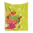 thumbnail image 1 of Fruit Soft Flannel Fleece Throw Blanket, Cartoon of Natural Deserts Daisies Watermelon Kiwi Grape Pineapple, Cozy Plush for Indoor and Outdoor Use, 50" x 70", Yellow Green Multicolor, by Ambesonne, 1 of 5
