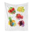 thumbnail image 1 of Fruit Soft Flannel Fleece Throw Blanket, Colorful Summer Food Arrangement Watermelon Slice Lemon Strawberry and Pineapple, Cozy Plush for Indoor and Outdoor Use, 50" x 60", Multicolor, by Ambesonne, 1 of 5