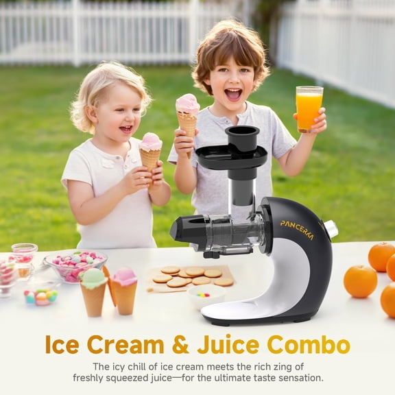 Fruit Sorbet Maker - Soft Ice for Healthy Dairy- Snacks, Easy Clean Anti-Slip Base