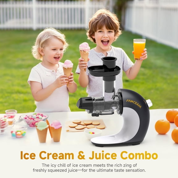 Fruit Sorbet Maker - Soft Ice for Healthy Vegetarian Dairy- Snacks, Easy Clean Silver Gray