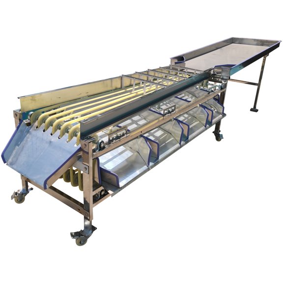 Fruit Sorting Machine 220V Fruit Grading Machine with Feeding Hopper Adjustable Speed