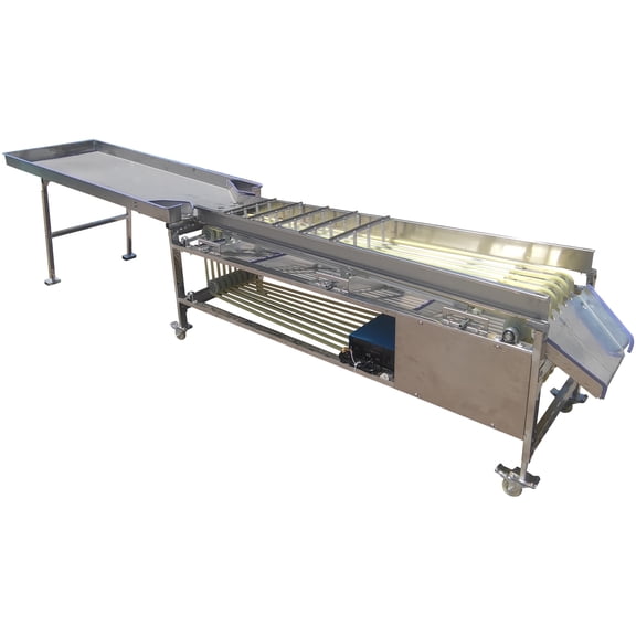 Fruit Sorting Machine Fruit Grading Equipment with Grading Belts 220V 750W