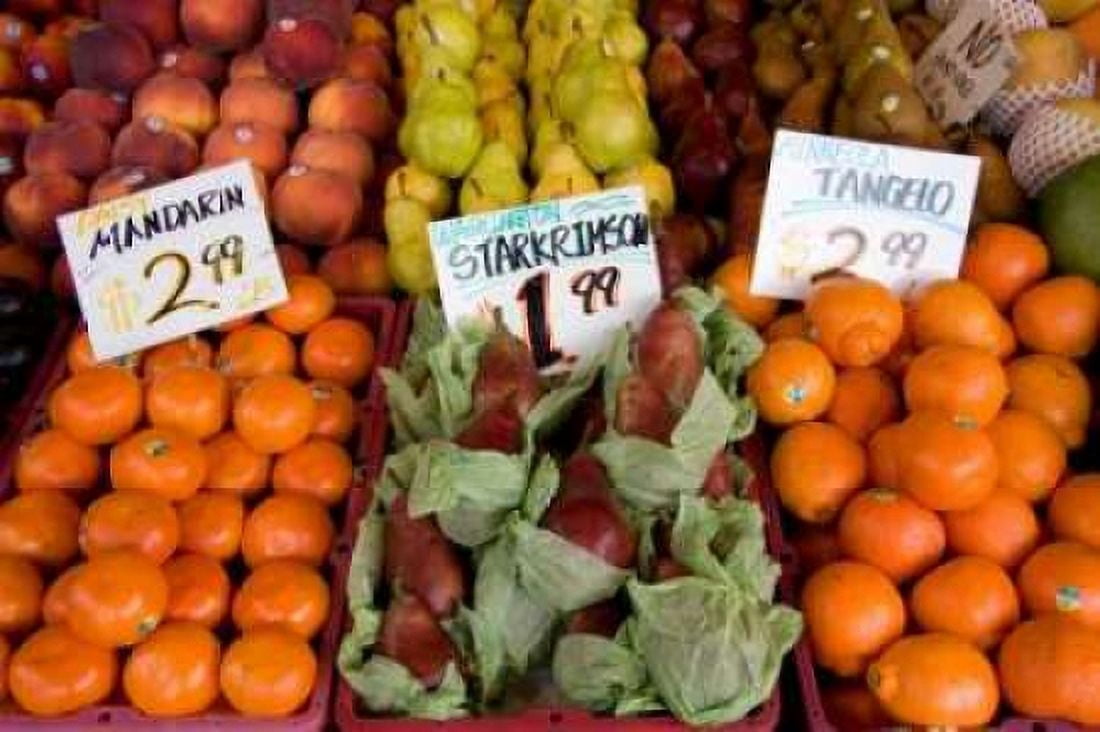 Fruit Stand III Canvas Art - Maureen Love (24 x 36)