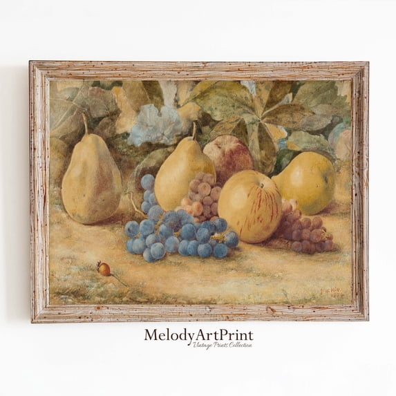 Grape Kitchen Fruit Still Life Wall Art Prints, Apples Pears Grapes, Antique Vintage ...