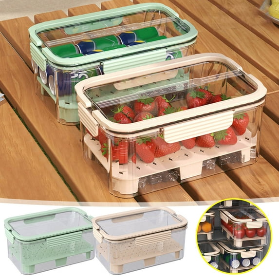 Fruit Storage Container with Handle & Lid, Portable Food Storage Containers with Ice Pack, Sealed Fridge Lettuce Container, for Picnic, Office, Refrigerator