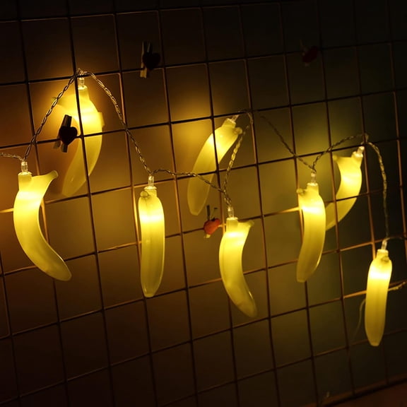Fruit String Lights 9.8ft 20LED Battery Powered Copper Wire Decorative Fairy Lights Decor for Birthday Party Patio Wedding Home