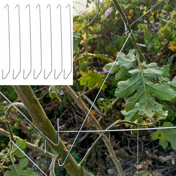 Fruit Tree Branch Limb Spreader,Bexikou 50 Pcs 7.87 Inch Limb Spreaders,Fruit Tree Support,Tree Open Angle Pull Branch Stereotyped,Branch Bending Tool