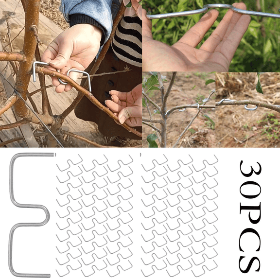 Fruit Tree Branch Puller Tying Machine Farm Tools, New Plum Tree Open Angle Pull Branch Bending Tool, Fruit Trees Branch Spreaders, Fruit Trees Branch Support 30PCS