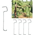thumbnail image 1 of Fruit Tree Branch Spreaders:Limb Spreaders for Fruit Trees,Tree Support,5Pcs Fruit Tree Branch Spreader Branch Puller for Shaping Fruit Tree Branches Branch Bending Tool,Tree Branch Hook (16cm), 1 of 8