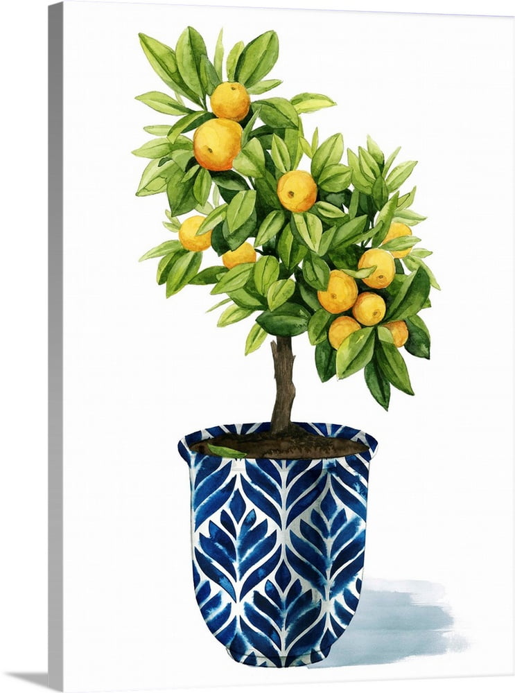 Fruit Tree I Canvas Wall Art, Farmhouse Home Decor 18x24