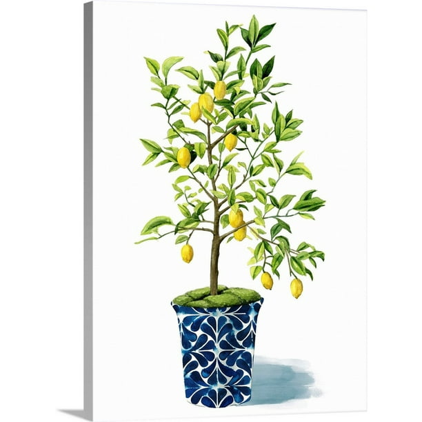 Fruit Tree II Canvas Wall Art, Home Decor 18x24