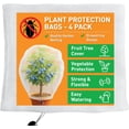 thumbnail image 1 of Fruit Tree Protection Bags 2.5x3.5 FT in 4 Pack | Multiple Size Garden Netting for Fruit & Vegetable Protection | White Plant Net Cover for Blueberry & Tomato | Bird & Insect Mesh Fabric Protector, 1 of 6