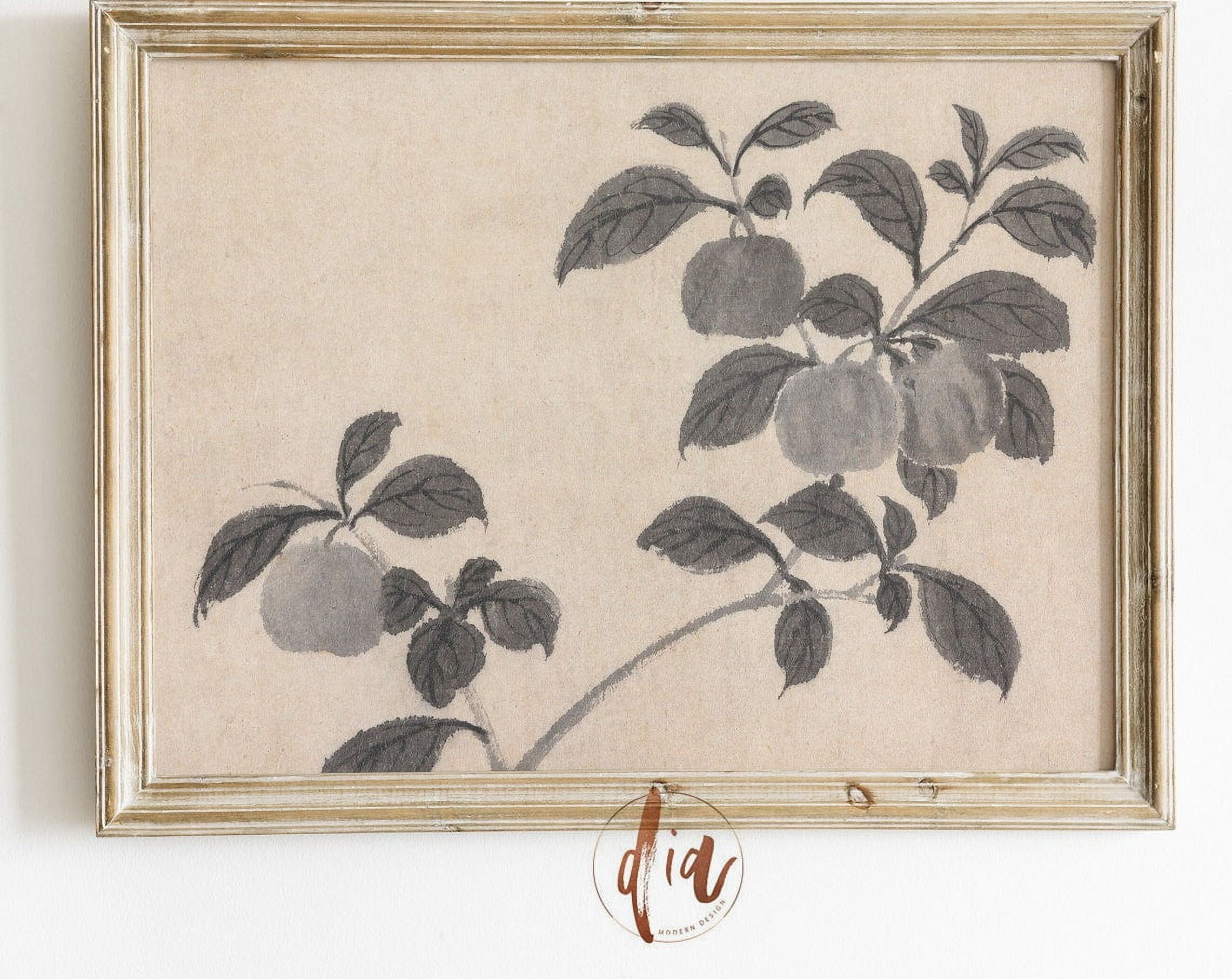 Fruit Tree Vintage Sketch Vintage Drawing Rustic Farmhouse Decor Peach ...
