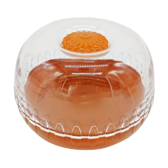 Fruit & Vegetable Storage Containers with Transparent Refrigerator Lids - Airtight Reusable Food Savers for Onions, Avocados, Tomatoes & Lemons, Set of 1