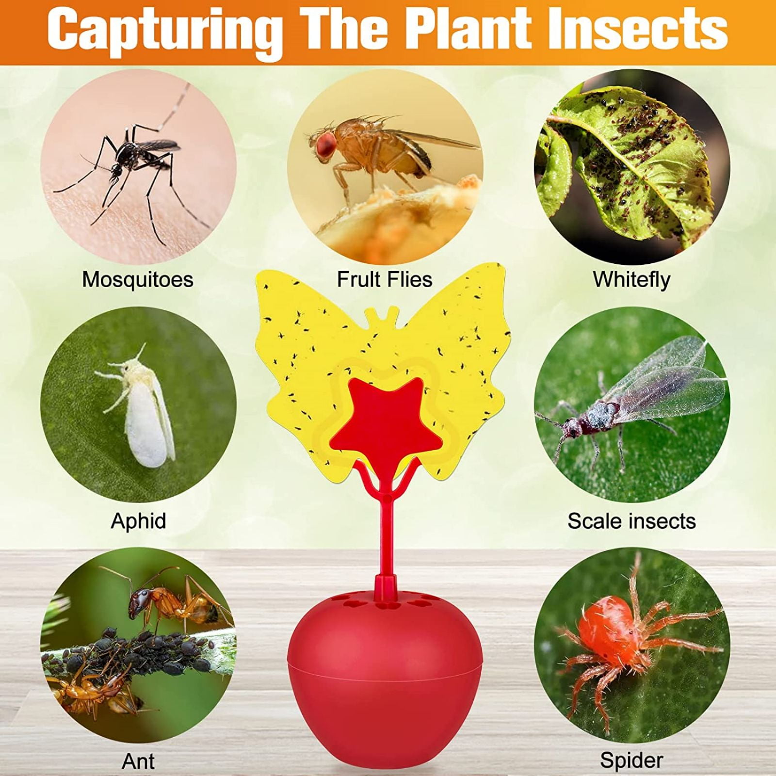 Fruit fly trap(4 count), butterfly sticker, flying insect adhesive trap ...