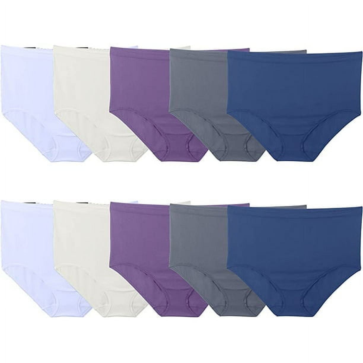 Fruit of the Loom 10 Pack Womens No Show Seamless Underwear, Amazing  Stretch & No Panty Lines Nylon Briefs,9 
