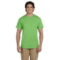 thumbnail image 1 of Fruit of the Loom 3931 HD Cotton 100% Cotton T-Shirt, Kiwi, M, Pack Of 2, Mens Workout Shirts, 1 of 1