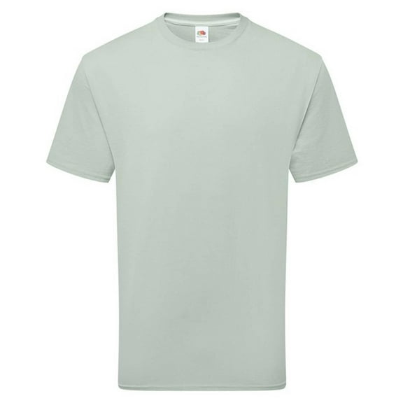 Fruit of the Loom  Adult Cotton T-Shirt