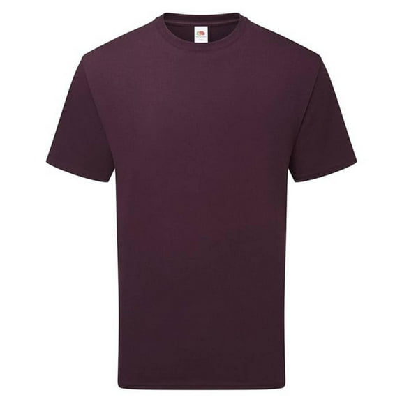 Fruit of the Loom  Adult Cotton T-Shirt