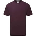 thumbnail image 1 of Fruit of the Loom  Adult Cotton T-Shirt, 1 of 4