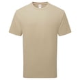 thumbnail image 1 of Fruit of the Loom  Adult Pure Cotton T-Shirt, 1 of 4