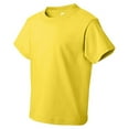 thumbnail image 1 of Fruit of the Loom Fl 3930Br Yth 5Oz Hd Cotn Tee, 1 of 1