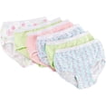 thumbnail image 1 of Fruit of the Loom Girl's Assorted Cotton Briefs,6 Pack,Size 4, 1 of 3