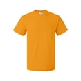 thumbnail image 1 of Fruit of the Loom HD Cotton T-Shirt for Men and for Women Short Sleeve Classic, 1 of 4