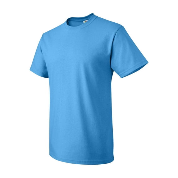 Fruit of the Loom HD Cotton T-Shirt for Men and for Women Short Sleeve Classic