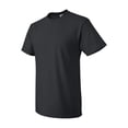 thumbnail image 1 of Fruit of the Loom HD Cotton T-Shirt for Men and for Women Short Sleeve Classic, 1 of 5