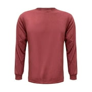 Fruit of the Loom Hd Cotton Adult Long Sleeve T-Shirt for Mens Redstone Heather, Small