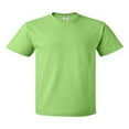 thumbnail image 1 of Fruit of the Loom Men's Cotton Short Sleeve T-Shirt, 1 of 3