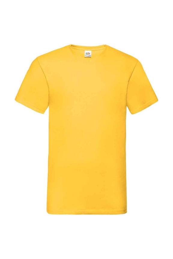 Mens Value V Neck T-Shirt