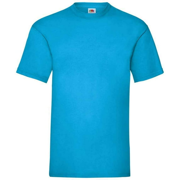 Fruit of the Loom Mens Valueweight T-Shirt
