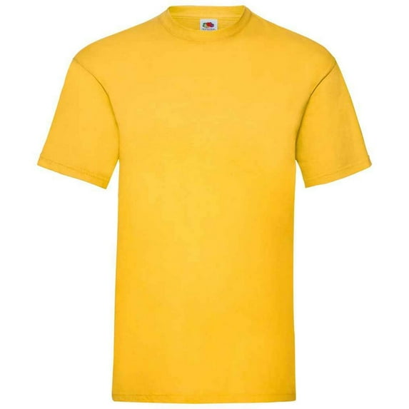 Fruit of the Loom Mens Valueweight T-Shirt