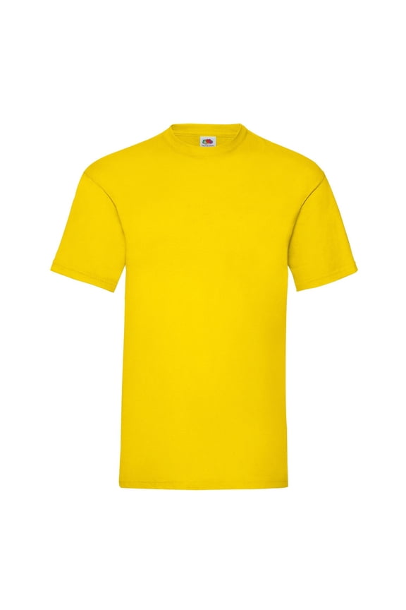 Mens Valueweight T-Shirt