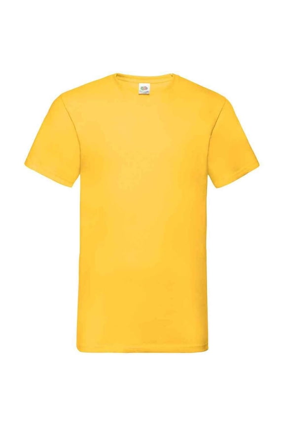 Mens Valueweight V Neck T-Shirt
